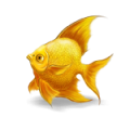 квесты:goldfish.png