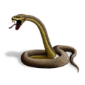 квесты:snake.png